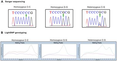 Association of the rs1042522 SNP with prostate cancer risk: a study of cancer tissues, primary tumor cultures, and serum samples from a Spanish Caucasian population